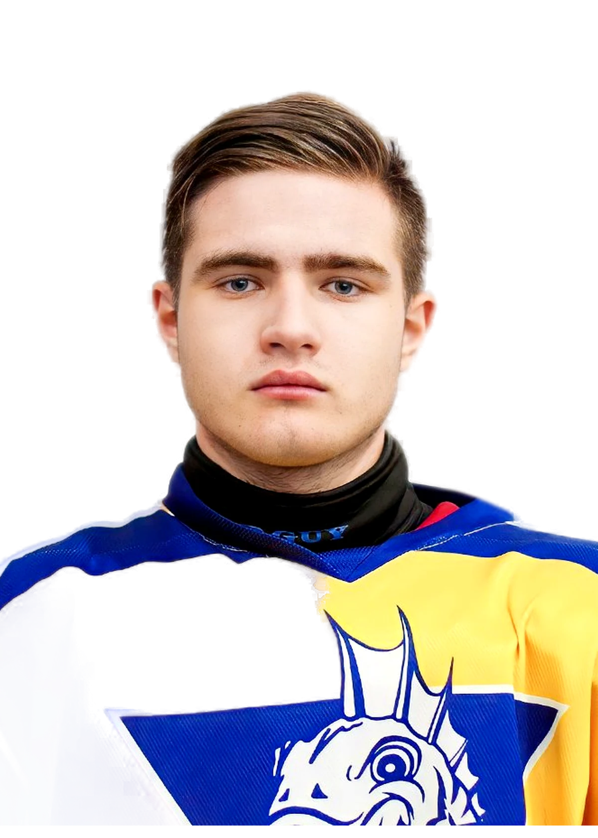 Гоев Дмитрий